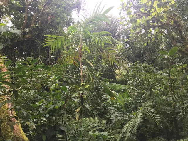 Oficinas Reserva Bosque Nuboso Santa Elena