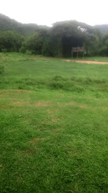 215 at Carola B Aparthotel - Pico De Loro