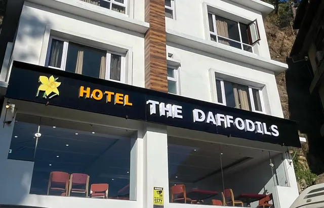 The Daffodils - White House