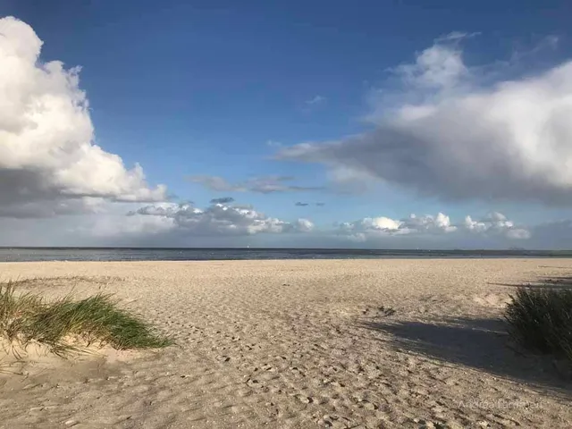 Naturstrand Schillig