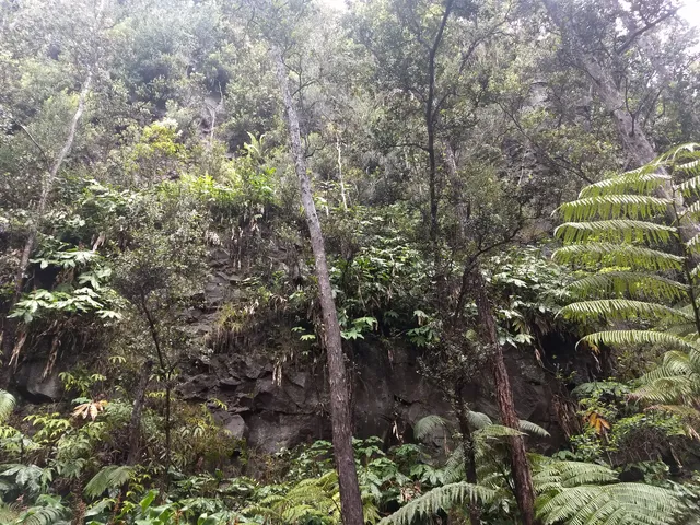 Hawaii Pacific Parks Association
