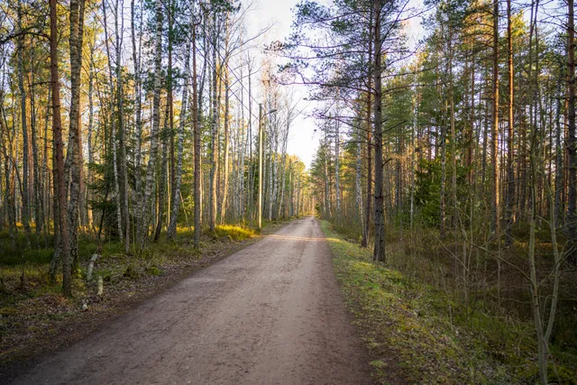 Harku forest trails