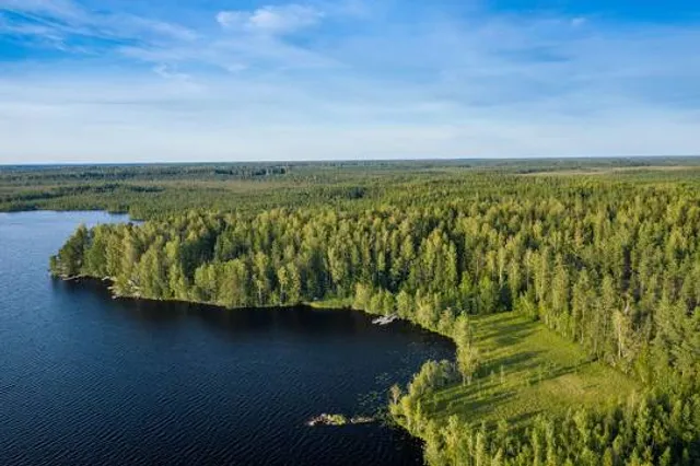Kurjenrahka National Park