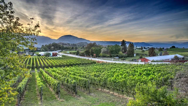 Township 7 Vineyards & Winery - Naramata Bench