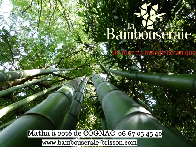 La Bambouseraie Joan Brisson