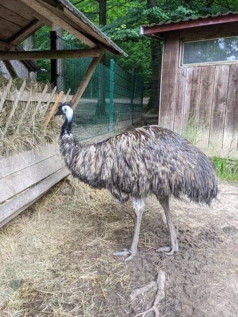 Tierpark Bad Liebenstein