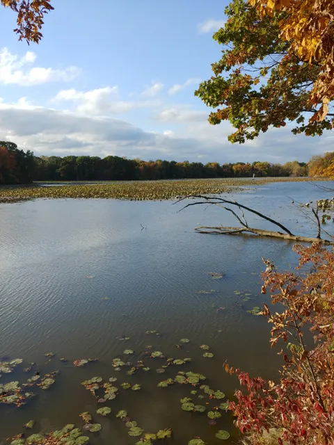 Old Woman Creek National Estuarine Research Reserve and State Nature Preserve