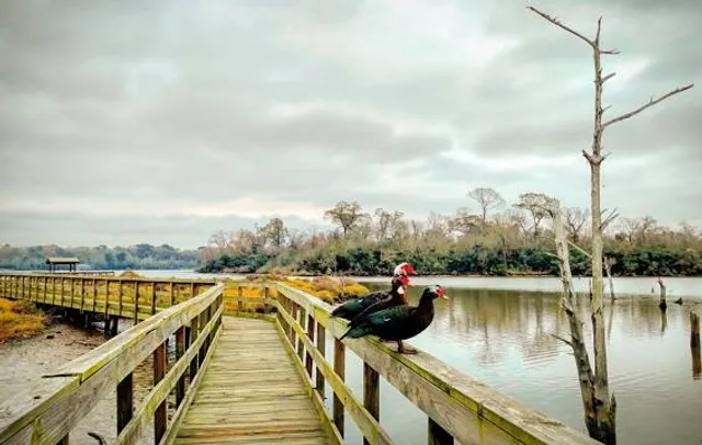 Armand Bayou Nature Center