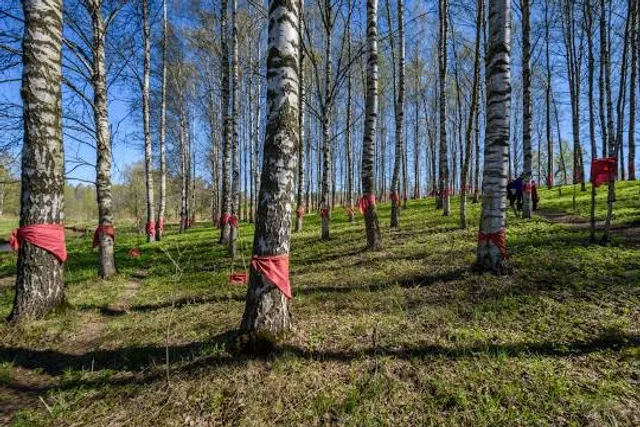 Memorial Tsvetok Zhizni