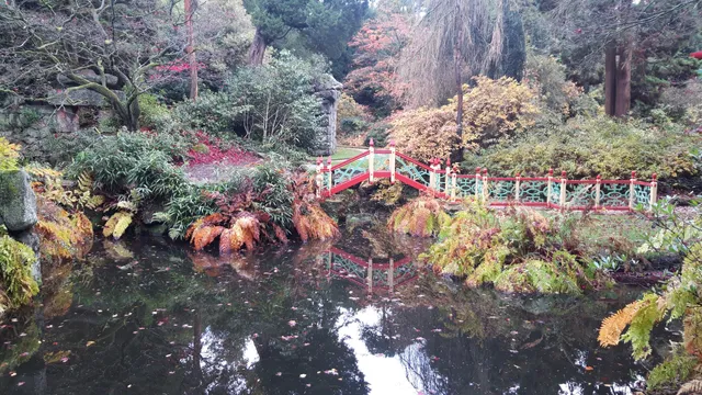 Biddulph Grange Tea Room