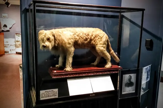 Greater Cincinnati Police Museum