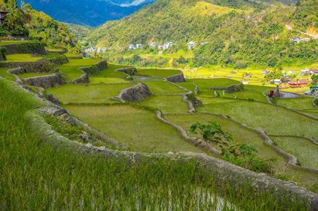 Hungduan Rice Terraces