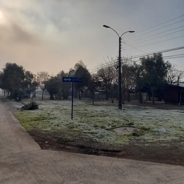 photo-1