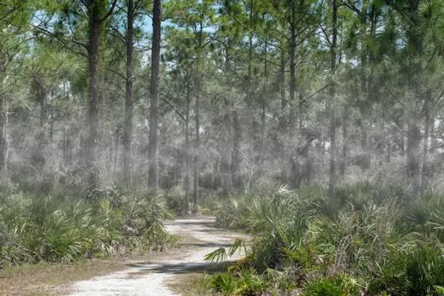 Hickey Creek Wildlife and Environmental Area