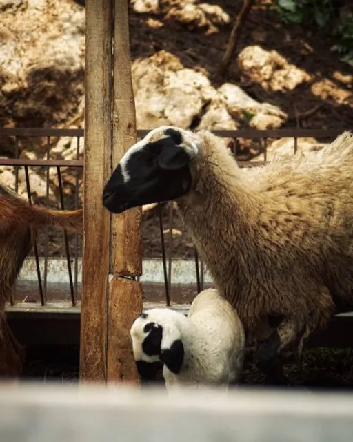 Provincia de Chacabuco