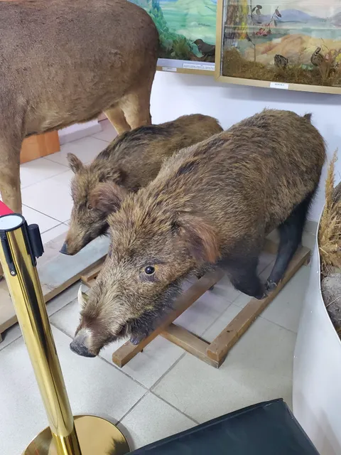 Ridder Museum of History and Local Lore