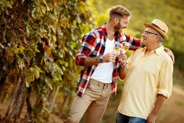 Alexis Bailly Vineyard