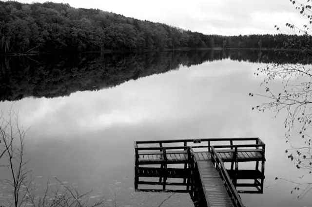 Rifle River Recreation Area