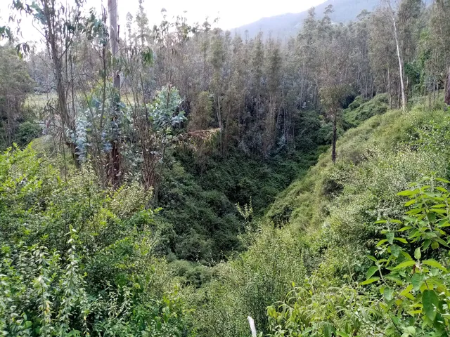 Cumbayá Metropolitan Park