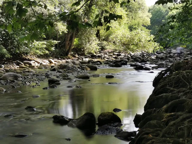photo-3