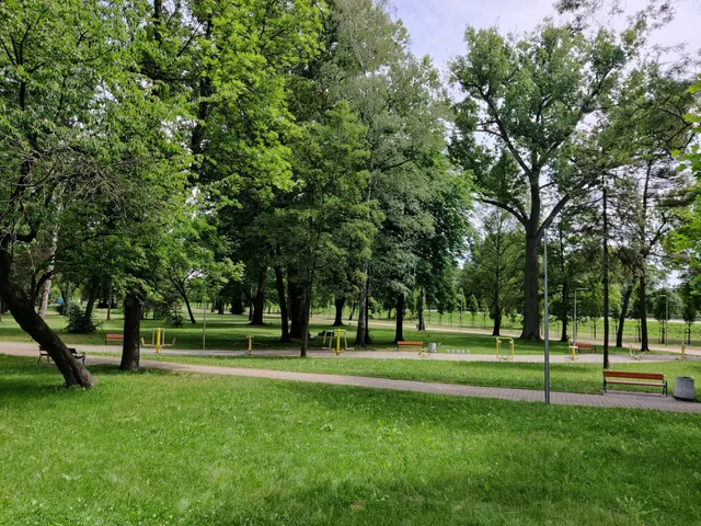 Park Miejski w Pyskowicach