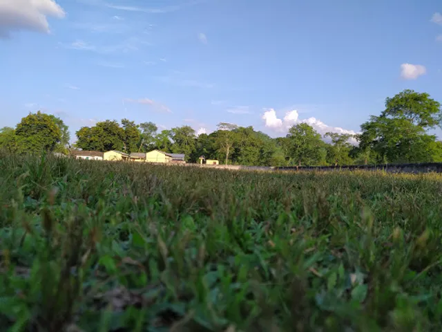 New Annapurna Sweets