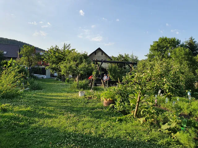 Agnes. Agroturystyka. Lach T.