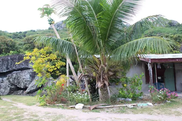 Wais & Ele (Homestay)