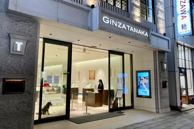GINZA TANAKA