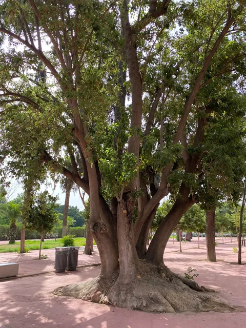 photo-1