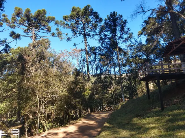 Chale Valle das Araucárias