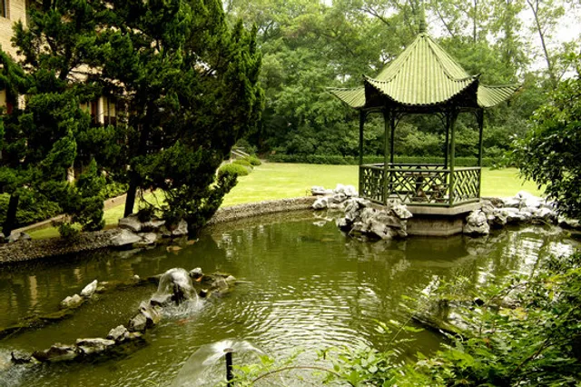 place image
