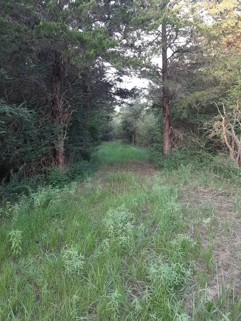 Dupree Park & Nature Preserve