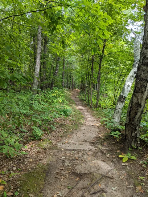 Uppgaard Wildlife Management Area