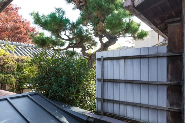 Shiki Homes | NATSU 夏