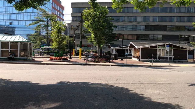 Brookline Village