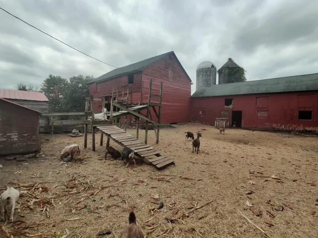 Frightfest at Schaefers Farm