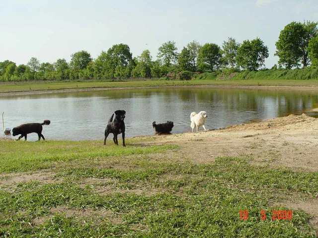 Hof Hundeglück Urlaub mit Hund