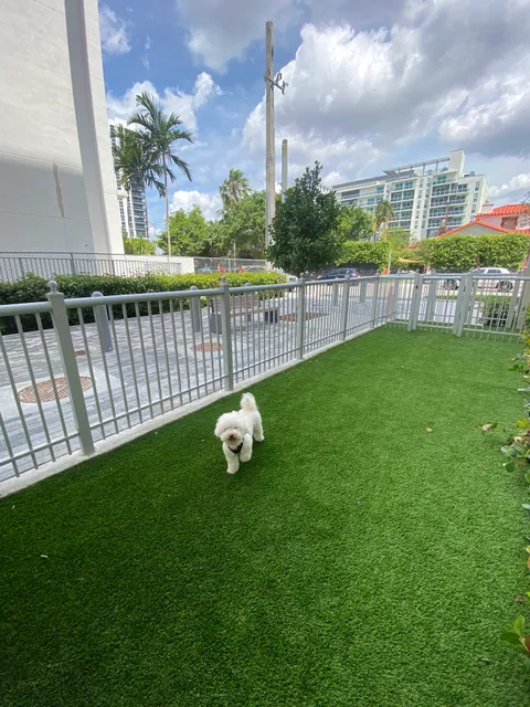 Canvas Dog Park
