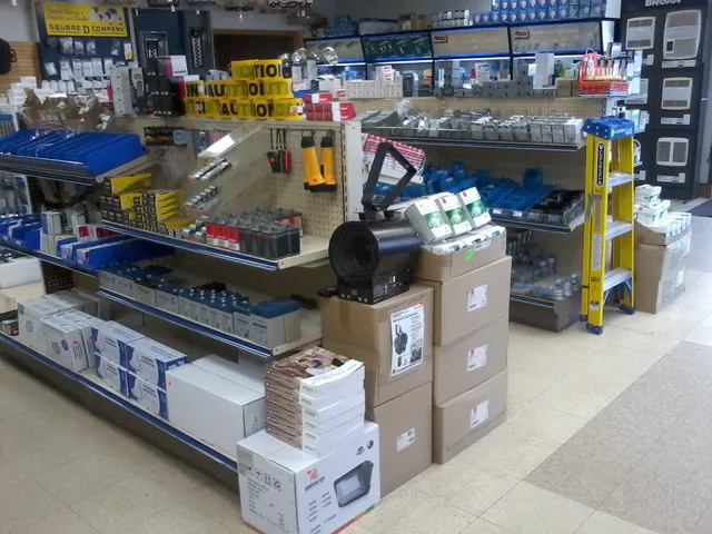 Everything Electric Sales