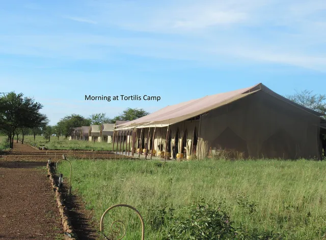 Serengeti Tortilis Camp