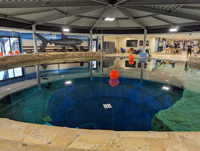 Freizeit- & Gesundheitsbad Oktopus