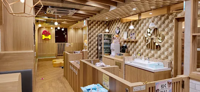 いぬカフェRio浅草店