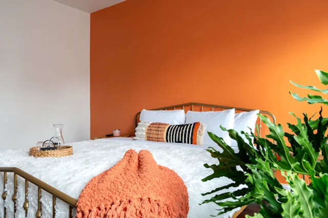 Jungle House - Luxury Stays