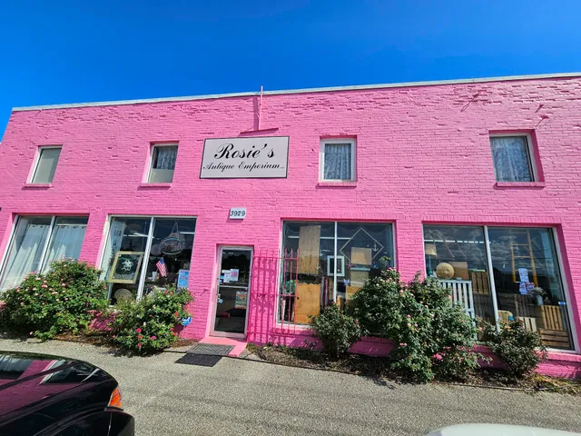 Saturn Collection Vintage