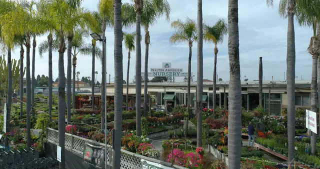 Walter Andersen Nursery