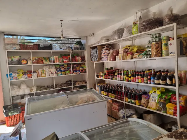 Chinese grocery store 中國雜貨店