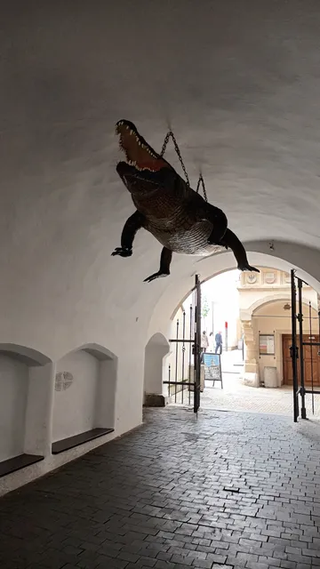 Brno Dragon