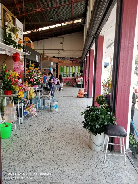 MARKET CRISTO REY No. 173