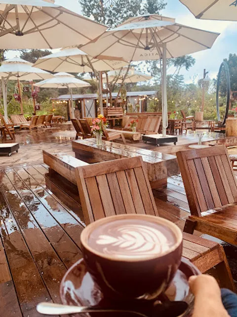 LATICA COFFEE ROASTERY